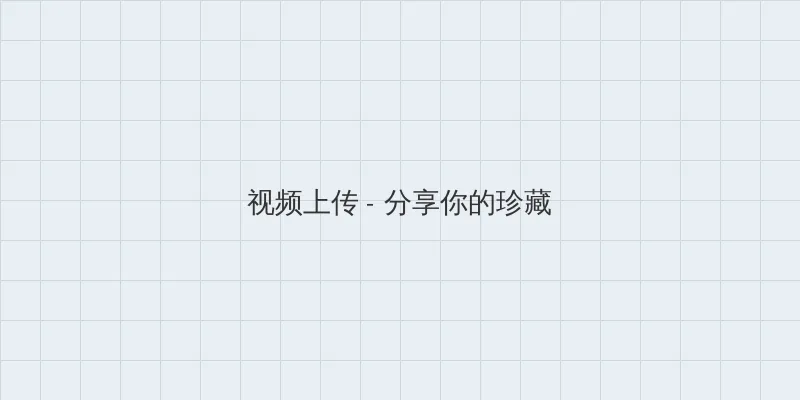 华硕n81v 视频上传区域